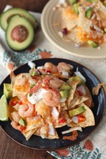 Margarita Shrimp Nachos