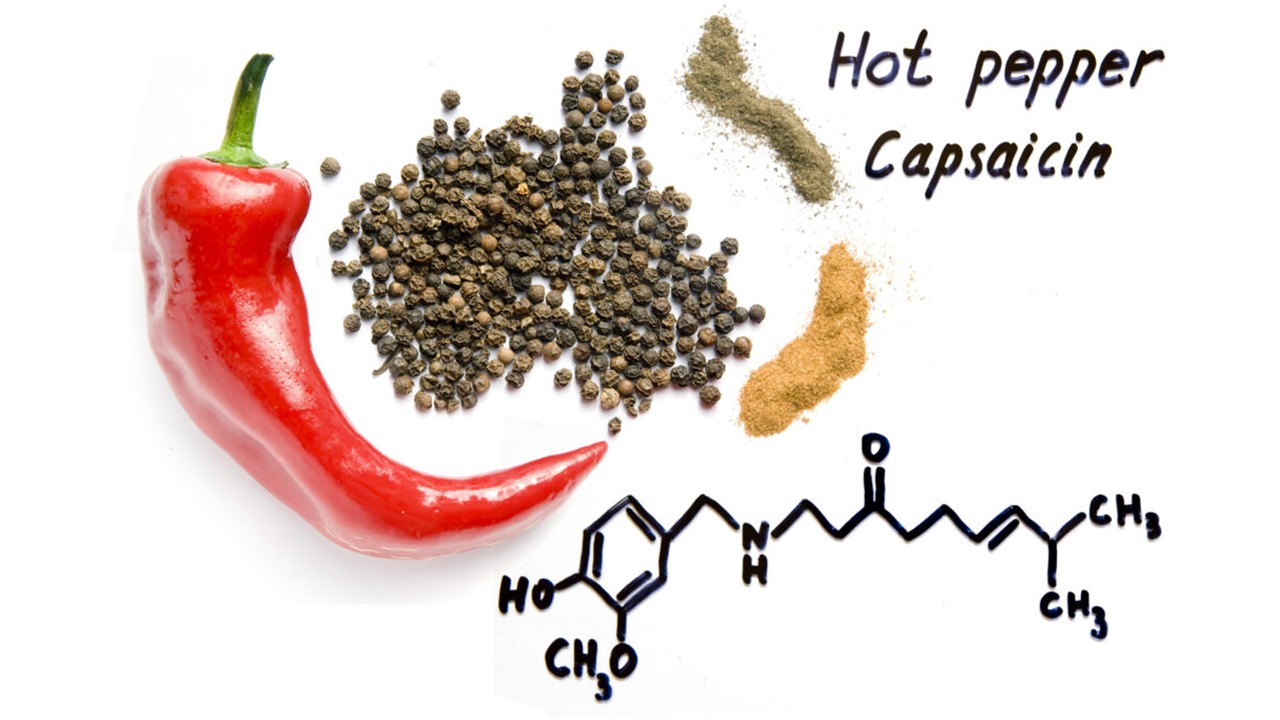 Capsaicin Used in Hot Sauce Voted Herb of the Year