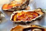 Grilled Spicy Oysters