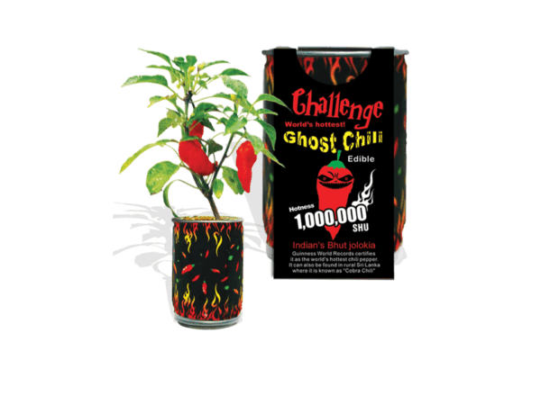 The Challenge Ghost Chili Pepper Growing Kit - Image 3
