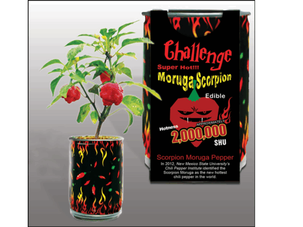 The Challenge Scorpion Pepper Growing Kit - Image 2
