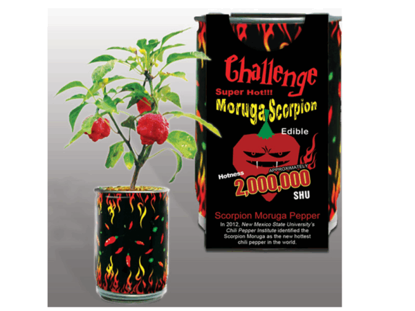 The Challenge Scorpion Pepper Growing Kit - Image 4
