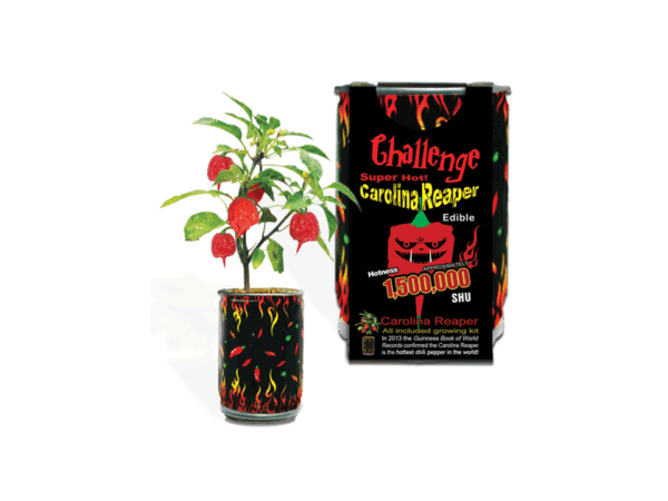 The Challenge Carolina Reaper Growing Kit - Image 2