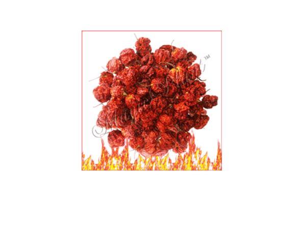 Magic Plant Farm's Carolina Reaper Dried Pepper Pods - Image 2